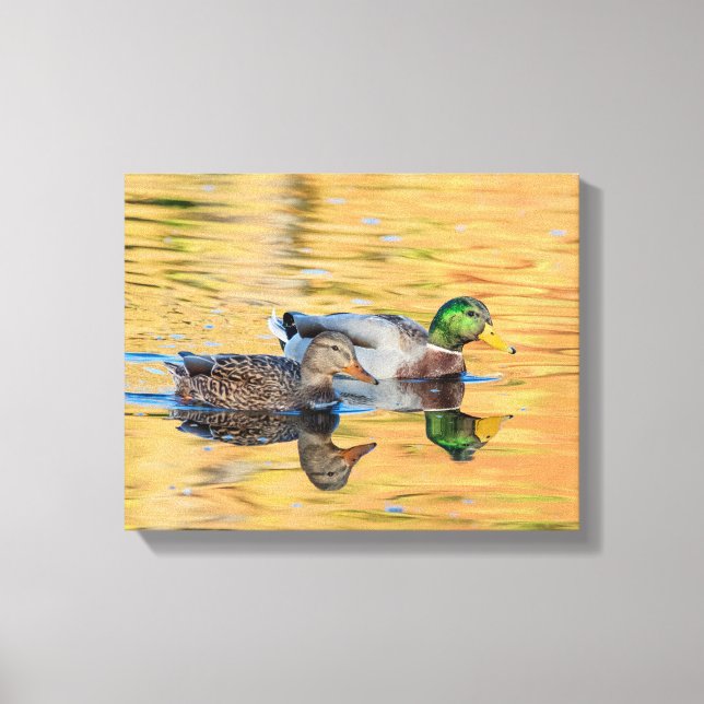 Pair of Mallards Canvas Print (Front)