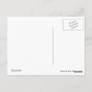 Pair of Metal Dogs Postcard