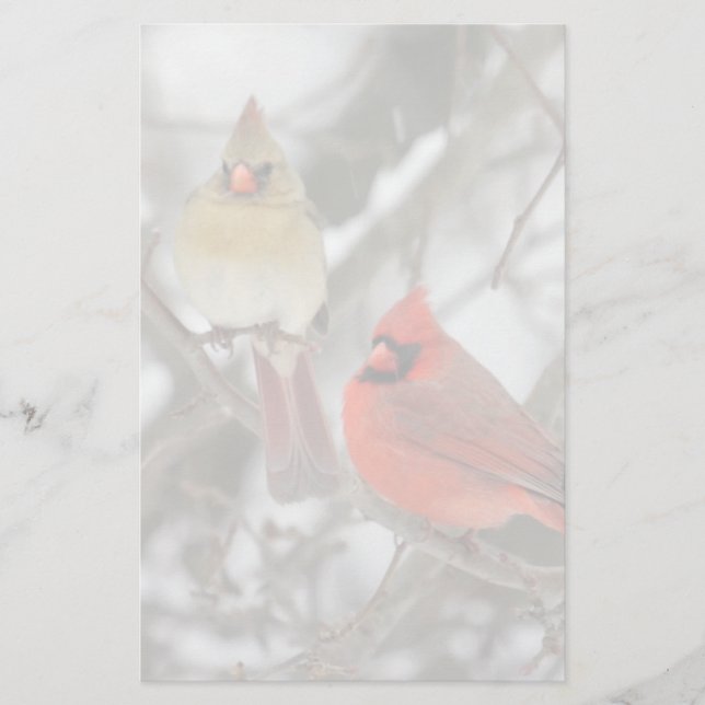 Pair Of Northern Cardinals (Front)
