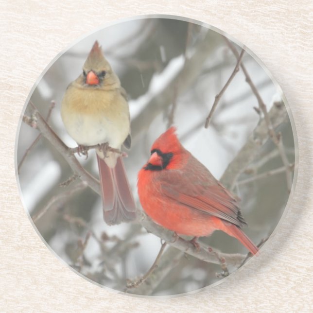 Pair Of Northern Cardinals Coaster (Front)