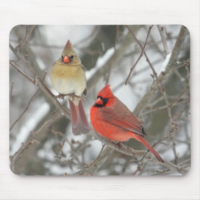 Pair Of Northern Cardinals Mouse Mat (Front)