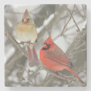 Pair Of Northern Cardinals Stone Coaster