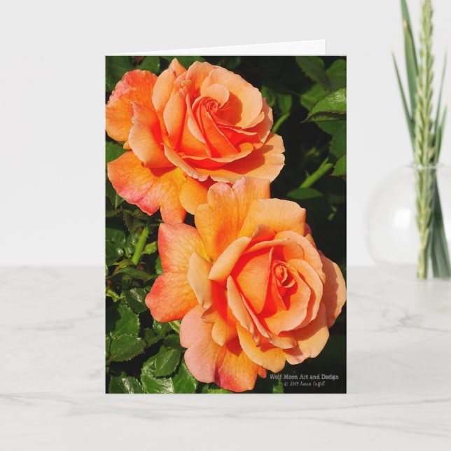 Pair Of Orange Rose Blossoms Card (Front)