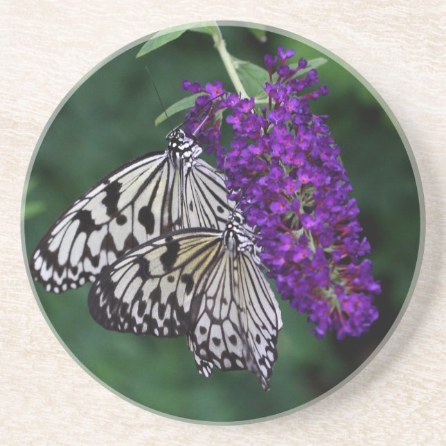 Pair of Paper Kite Butterflies Coaster (Front)
