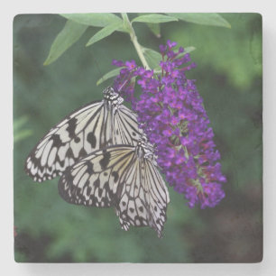 Pair of Paper Kite Butterflies Stone Coaster