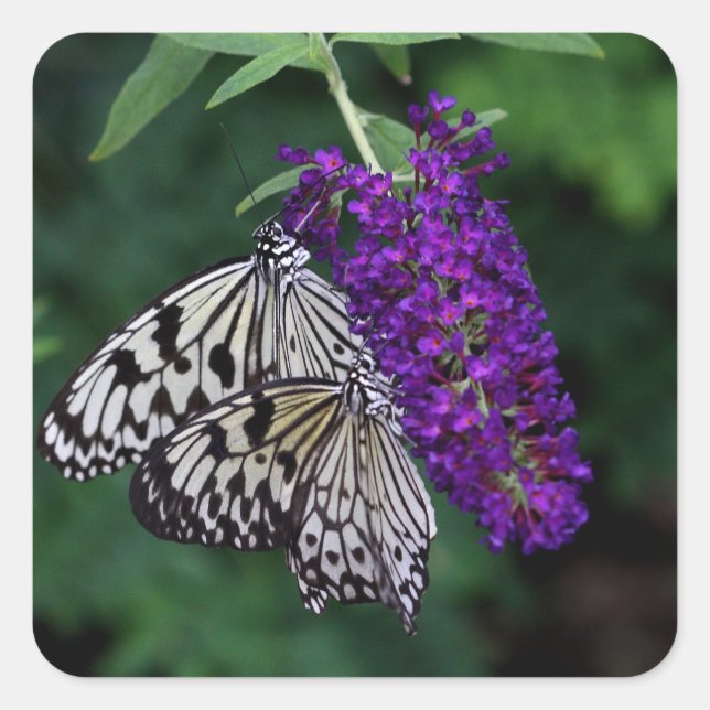 Pair of paper kites square sticker (Front)