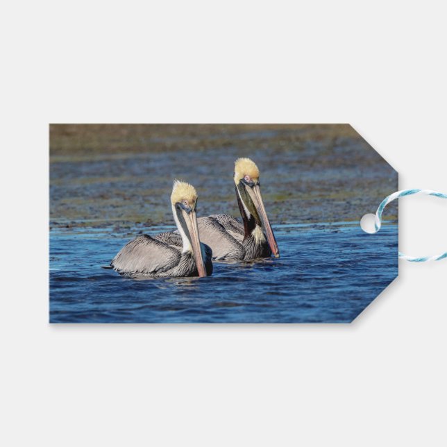 Pair of Pelicans Gift Tags (Front (Horizontal))