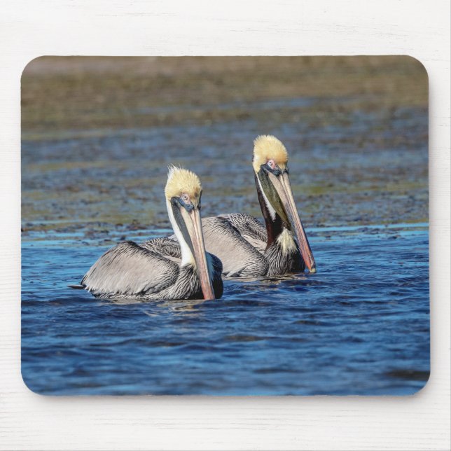 Pair of Pelicans Mouse Mat (Front)