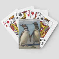 Pair of penguins on the beach