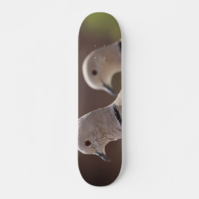 Pair of Pigeons Skateboard (Front)