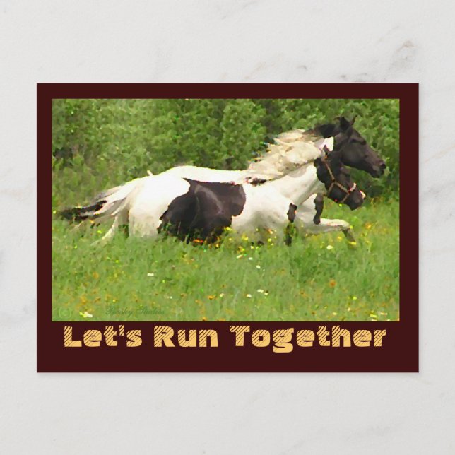 Pair of Pintos Postcards (Front)