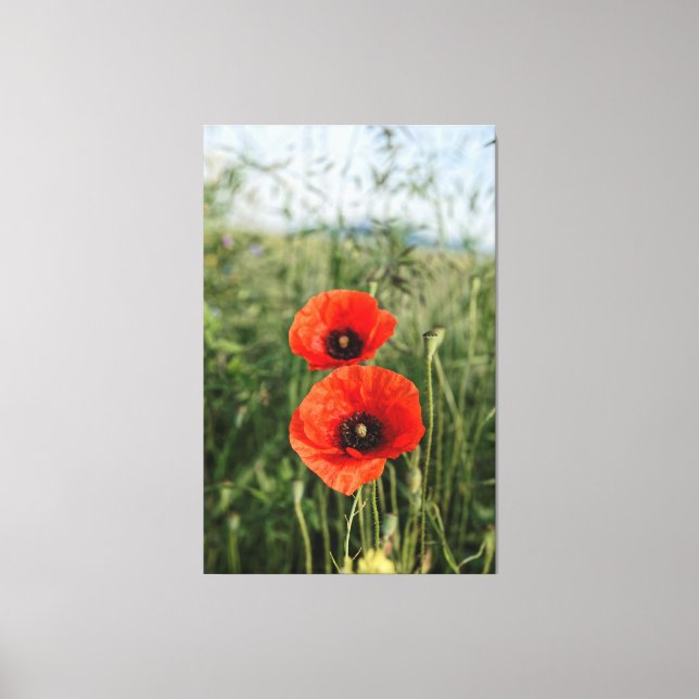 Pair of poppies canvas print (Front)