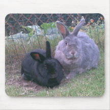 pair of rabbits mouse mat