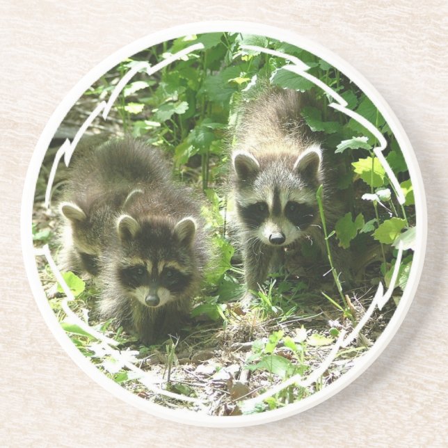 Pair of Raccoons Coasters (Front)