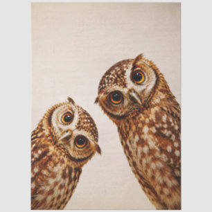 Pair Of Realistic Curious Owls, Brown Rustic FX1R Tissue Paper
