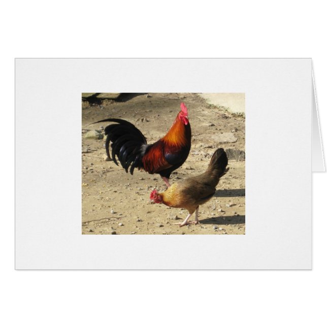 Pair Of Round Head Gamebirds (Front Horizontal)