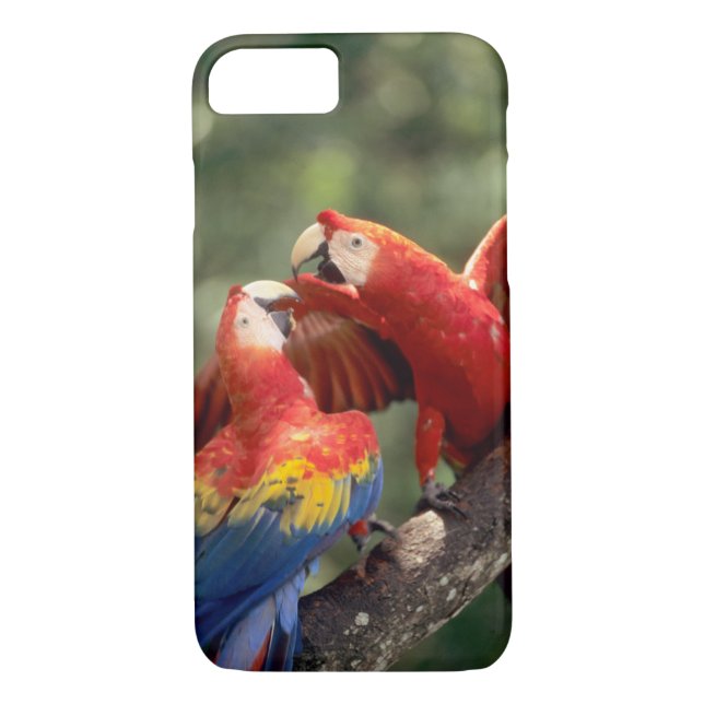 Pair of Scarlet Macaws Case-Mate iPhone Case (Back)
