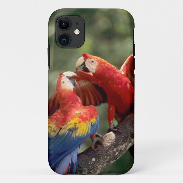 Pair of Scarlet Macaws Case-Mate iPhone Case (Back)