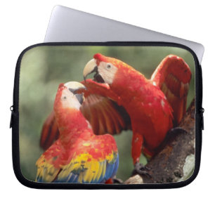 Pair of Scarlet Macaws Laptop Sleeve