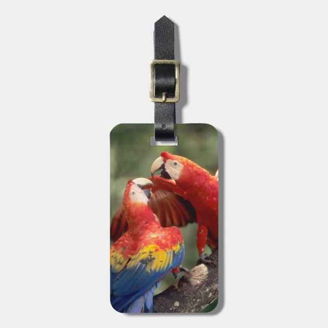 Pair of Scarlet Macaws Luggage Tag (Front Vertical)