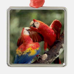 Pair of Scarlet Macaws Metal Tree Decoration