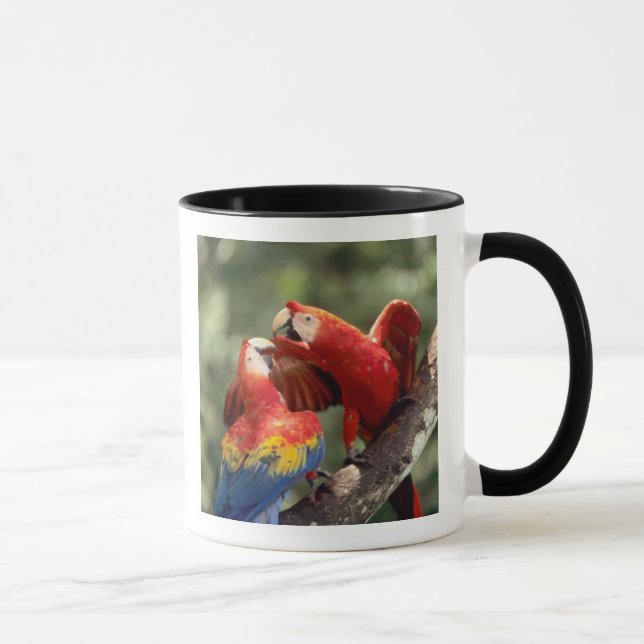 Pair of Scarlet Macaws Mug (Right)