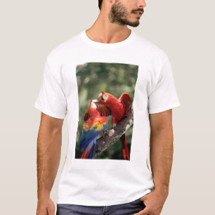 Pair of Scarlet Macaws T-Shirt