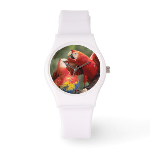 Pair of Scarlet Macaws Watch