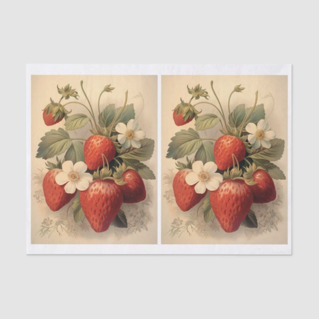 Pair of Strawberries and White Blossoms Art Tissue Paper (Front)