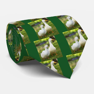 Pair of white domesticated ducks tie