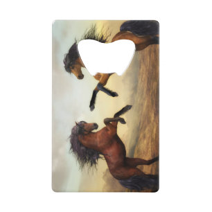 pair of wild horses