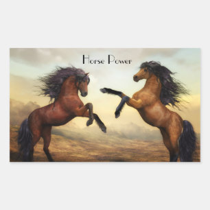 pair of wild horses  rectangular sticker