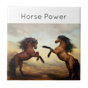 pair of wild horses  tile