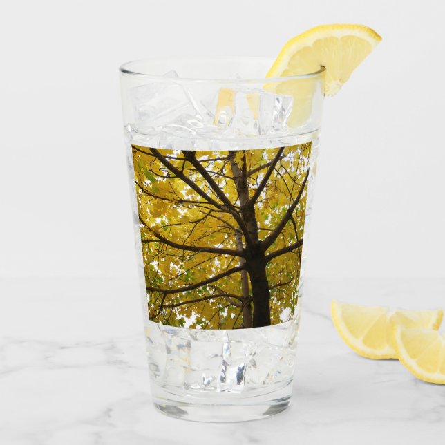 Pair of Yellow Maple Trees Autumn Nature Glass (Back Ice)