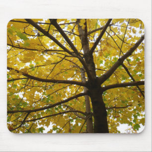 Pair of Yellow Maple Trees Autumn Nature Mouse Mat