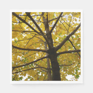 Pair of Yellow Maple Trees Autumn Nature Napkin