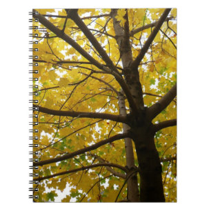 Pair of Yellow Maple Trees Autumn Nature Notebook