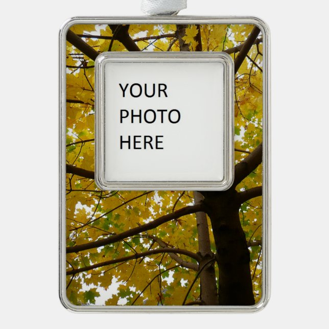 Pair of Yellow Maple Trees Autumn Nature Silver Plated Framed Ornament (Front)