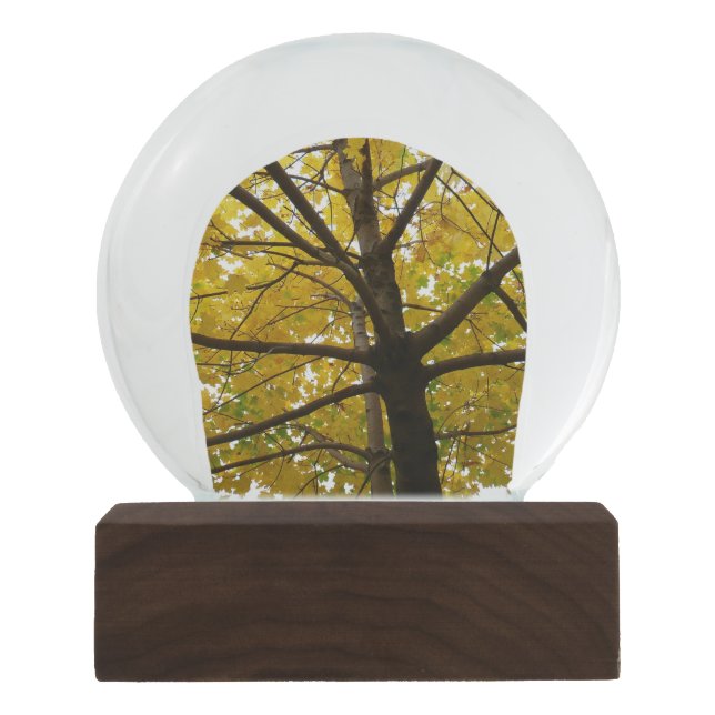 Pair of Yellow Maple Trees Autumn Nature Snow Globe (Front)