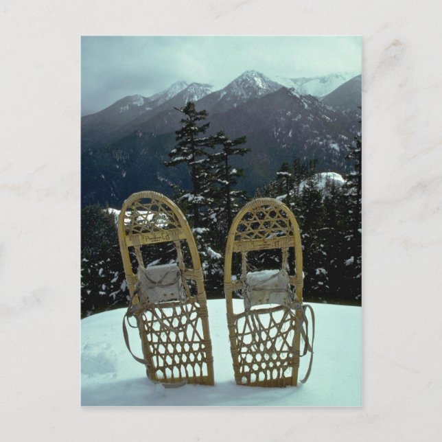 Pairing In The Dazzling White Postcard (Front)