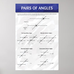Pairs of Angles Poster