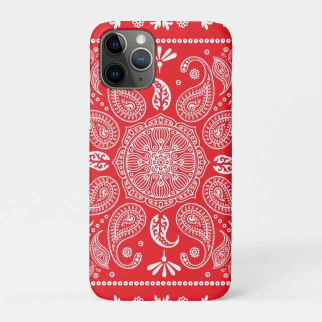 Paisley Design-1 iPhone / iPad case (Back)