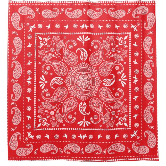 Paisley Design-1 Shower Curtain (Front)