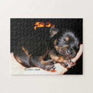 Paisley Marie 1 Jigsaw Puzzle