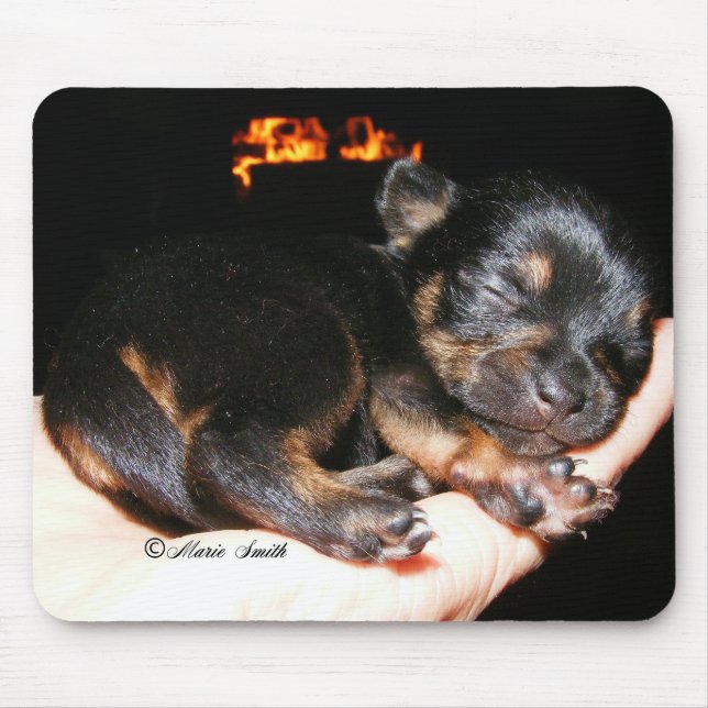Paisley Marie 1 Mouse Mat (Front)