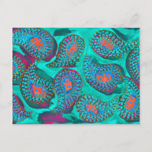 Paisley mola, mola paisley postcard