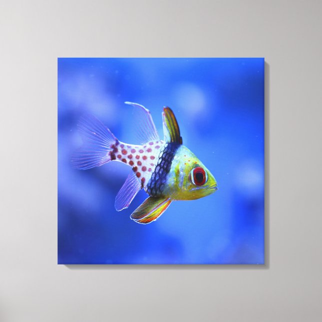 Pajama Cardinalfish - The Reef Collection Canvas Print (Front)