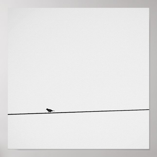 Pájaro posado en blanco y negro poster (Front)