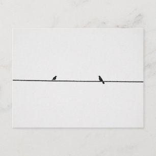 Pájaros Amigos Postcard