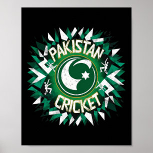 Pakistan Cricket Jersey Cricket Flag Of Pakistan 4 Poster